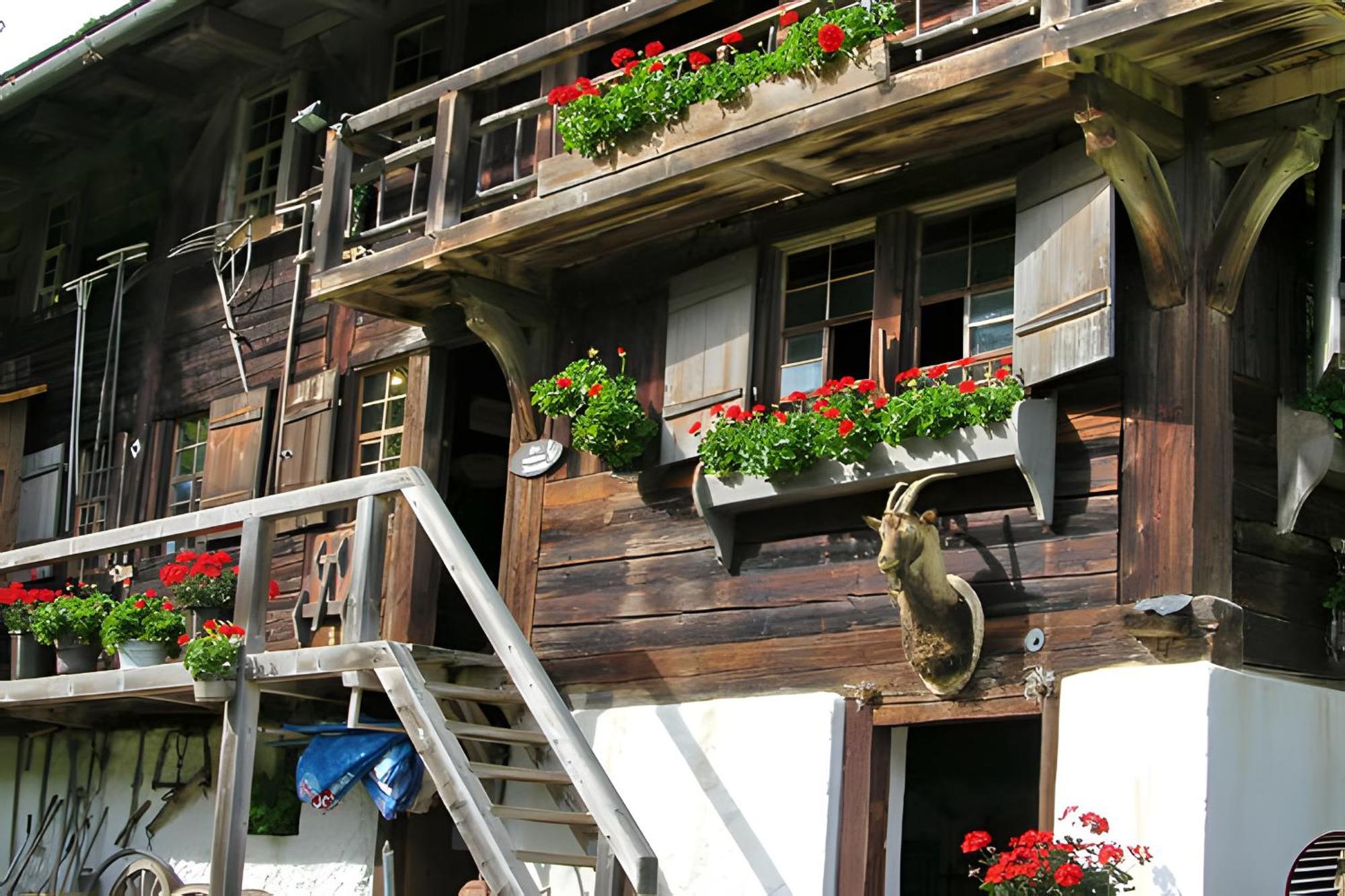 Ferienhaus Völkle Hinterzarten Exterior foto