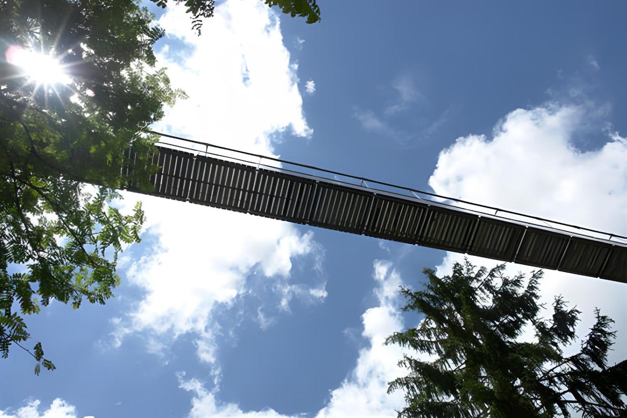 Ferienhaus Völkle Hinterzarten Exterior foto